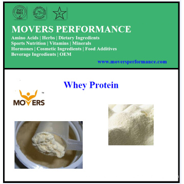 Top Quanlity Melhor preço Whey Protein Powder